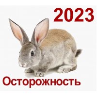 График работы магазина на Новогодние праздники 2023 года.