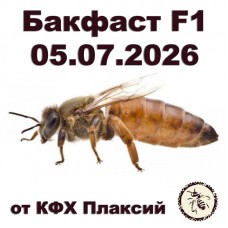 Матки бакфаст F1 от КФХ Плаксий на 05.07.2026