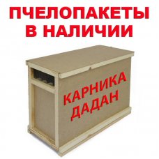 Пчелопакет Дадан (4 рамки) Карника в наличии