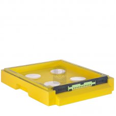 Дно низкое 10-ти рамочное (Лысонь-РБ)