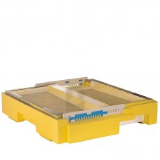 Дно улья 12-ти рамочное c двумя летками Лысонь-РБ